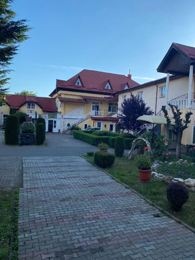 Pensiunea Viena Târgu-Mureş 외부 사진